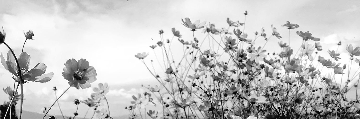 mafernifika's profile banner image