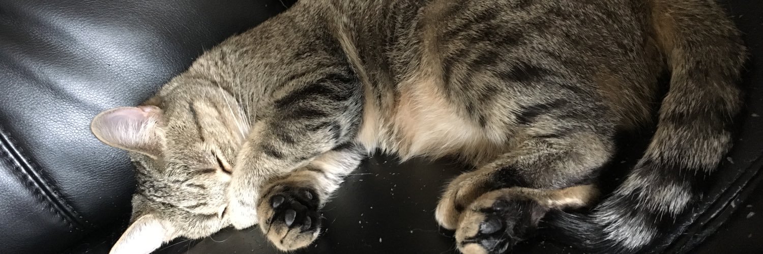 ReneeDibbley's profile banner image