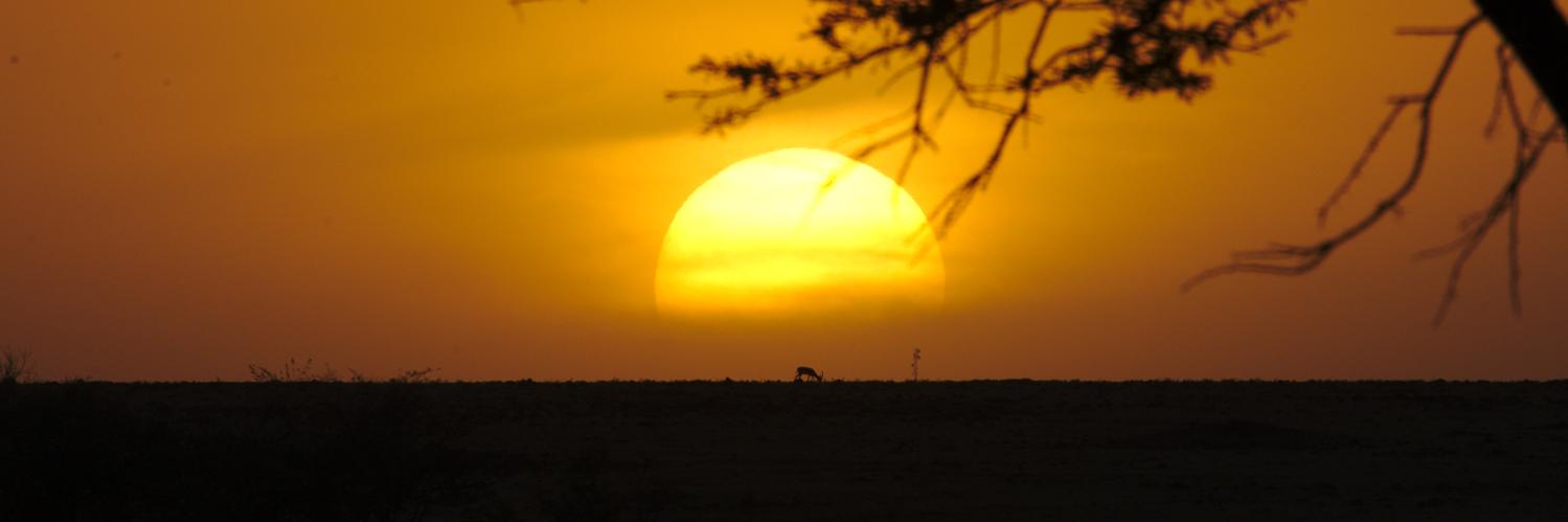 @glunardi@floss.social banner