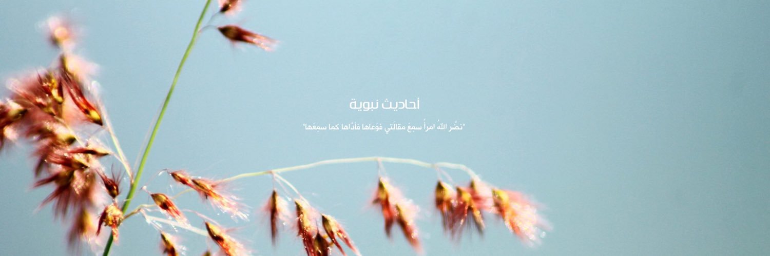 ahadeth's profile banner image