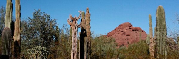 pgeorge Profile Banner