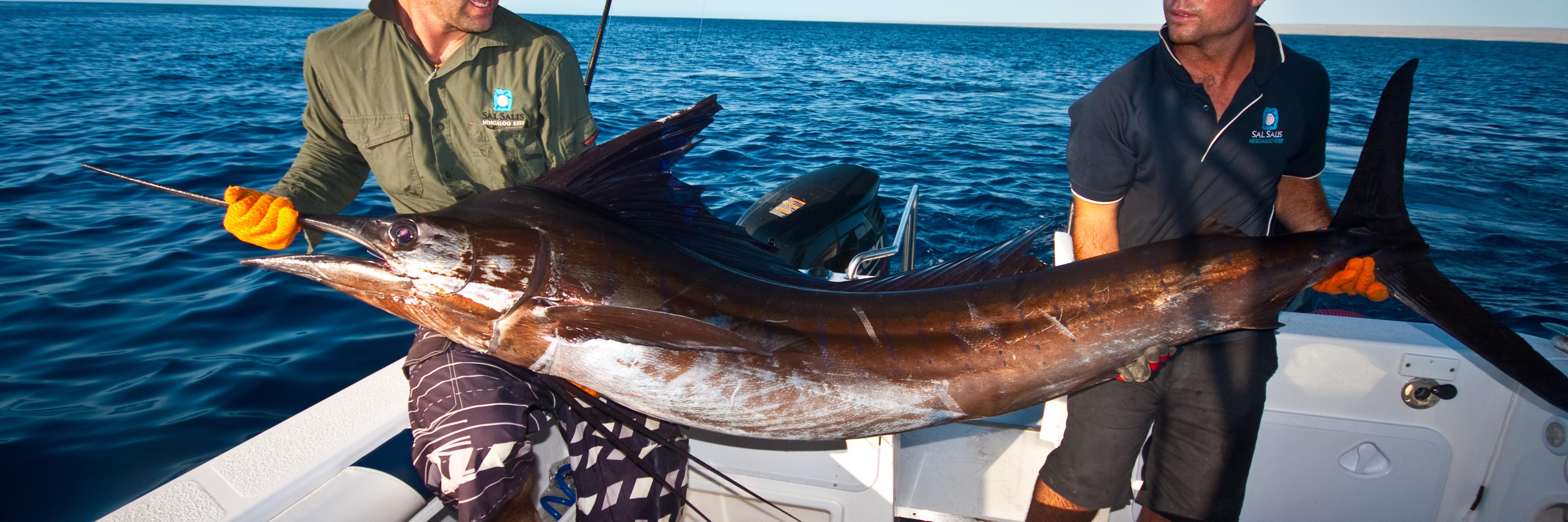 WesternAngler's profile banner image