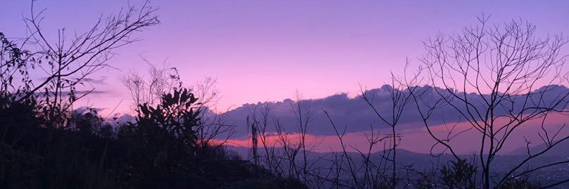 stephvargast's profile banner image