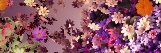 nancy_AD's profile banner image