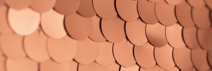 BiaLady__'s profile banner image
