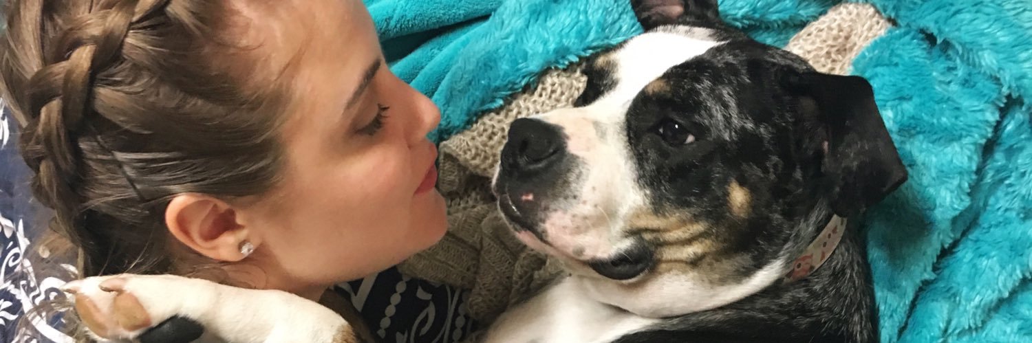 daniellemiklas's profile banner image