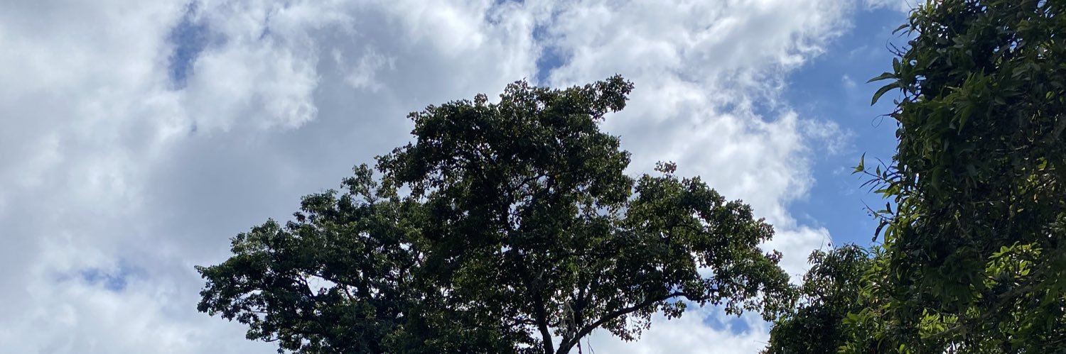 heytatan's profile banner image