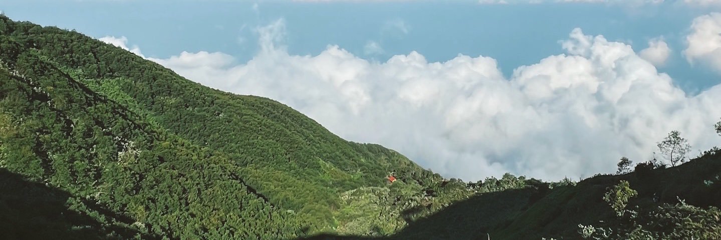 shvandini's profile banner image