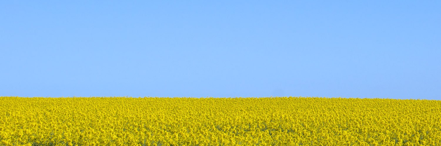 Richard Leeming banner