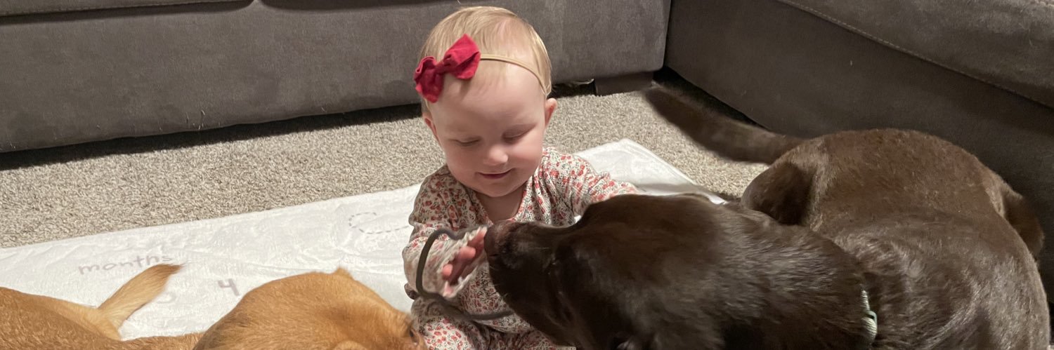 Zack Chaykowsky banner