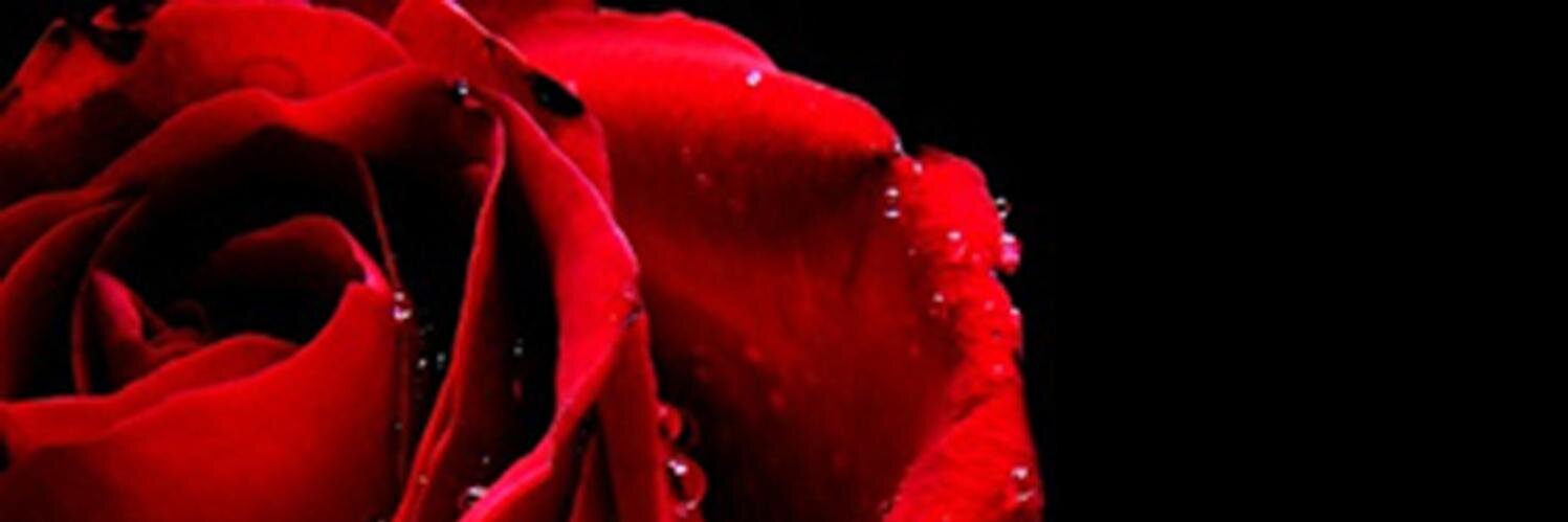 nadiafrdlla's profile banner image