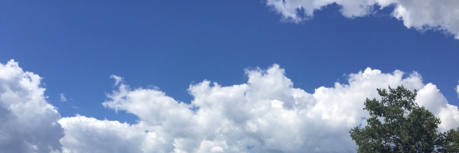 Catherine Patterson banner