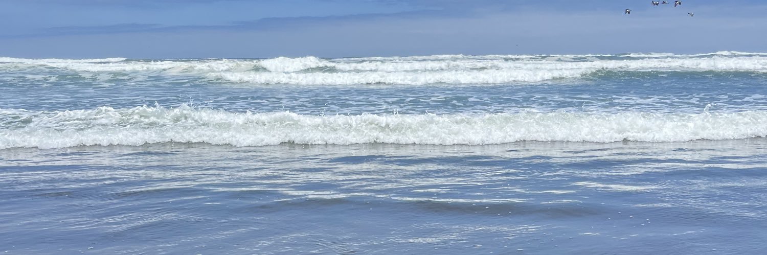 Alejandro Neyra banner