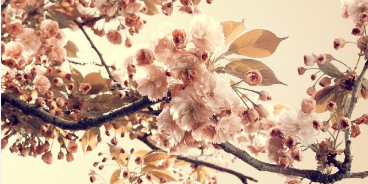 Kariin_Castillo's profile banner image