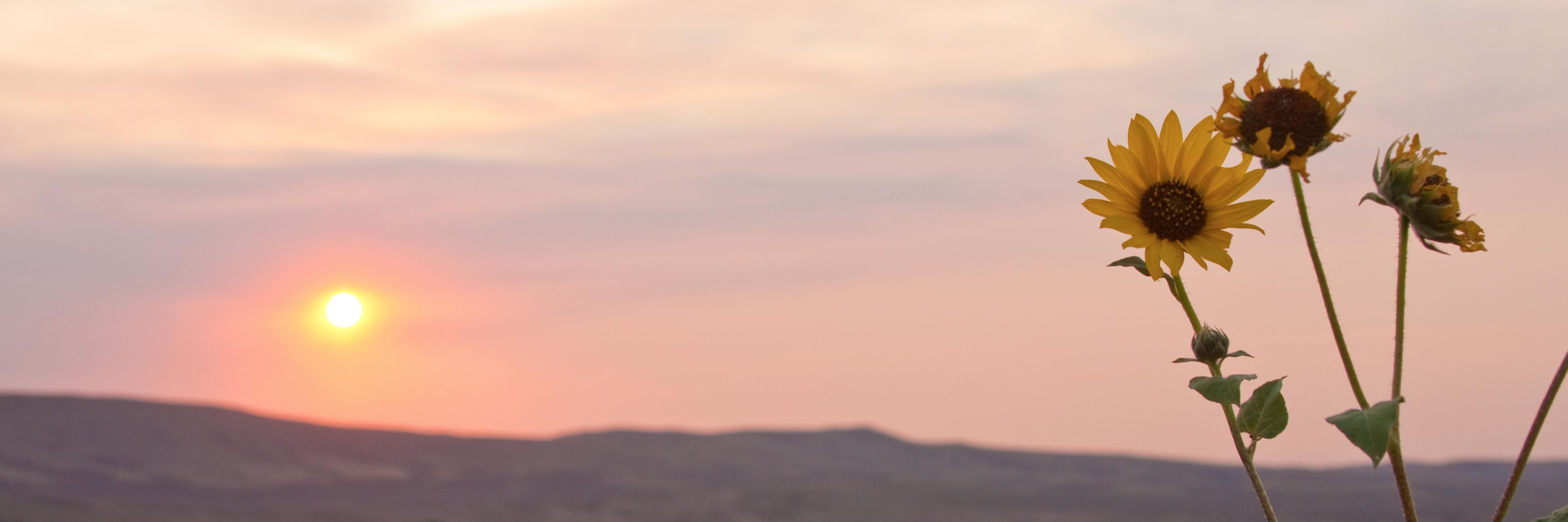 Jen Eliuk banner