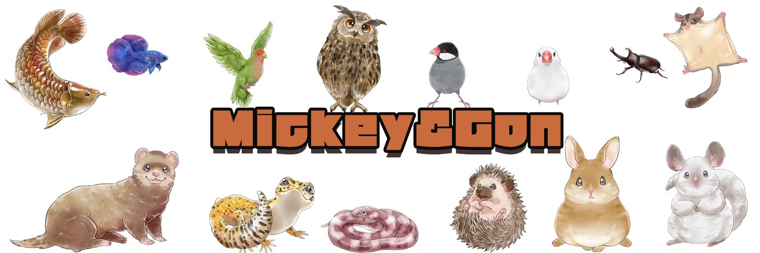 mickeyandgon's profile banner image
