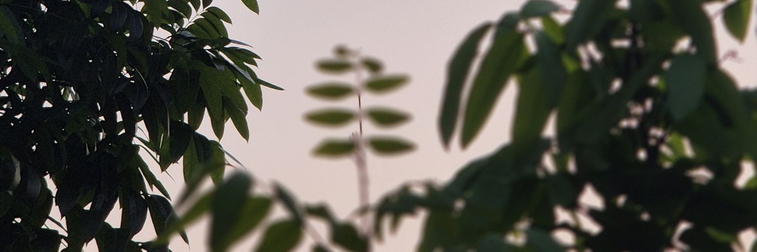 inun. banner