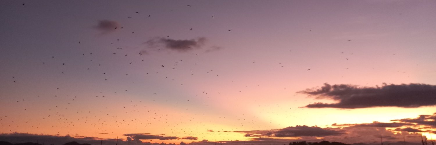 orenjidusk's profile banner image