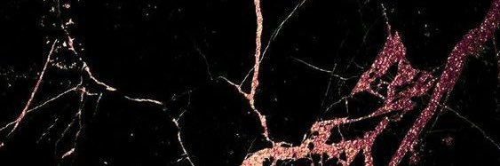 itsBreeeeeee's profile banner image