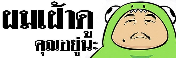 InfraredDominator banner