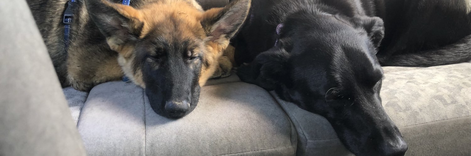 🌼 Tara 🌼 banner