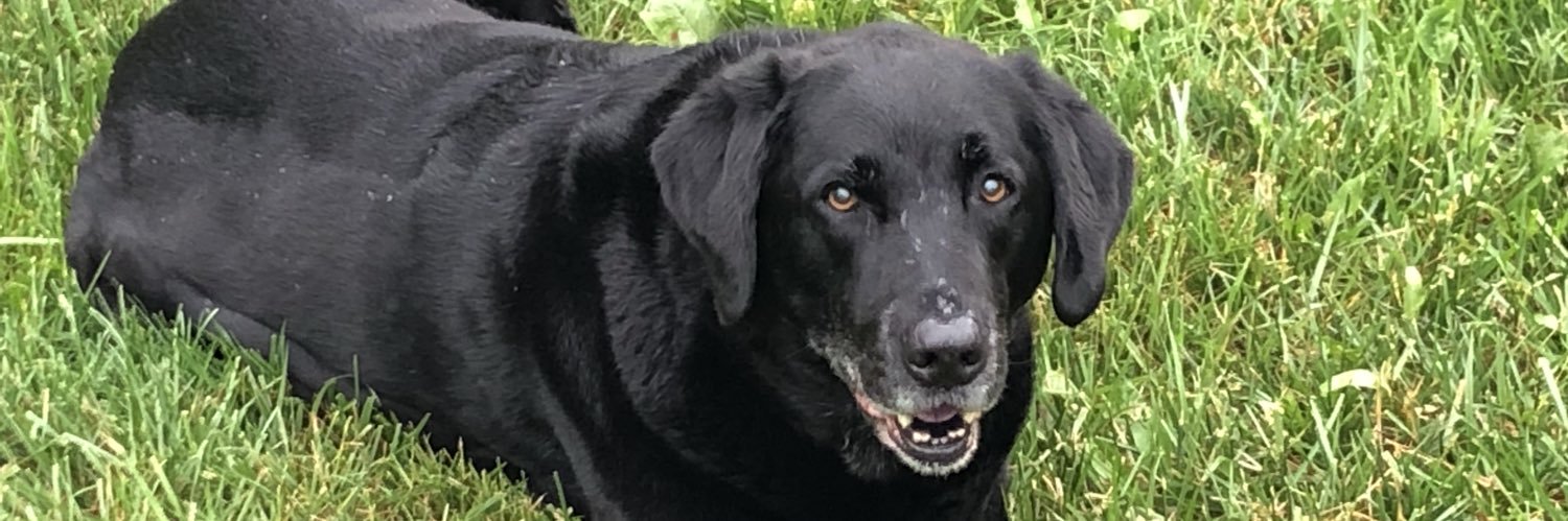 Brian_Herald's profile banner image