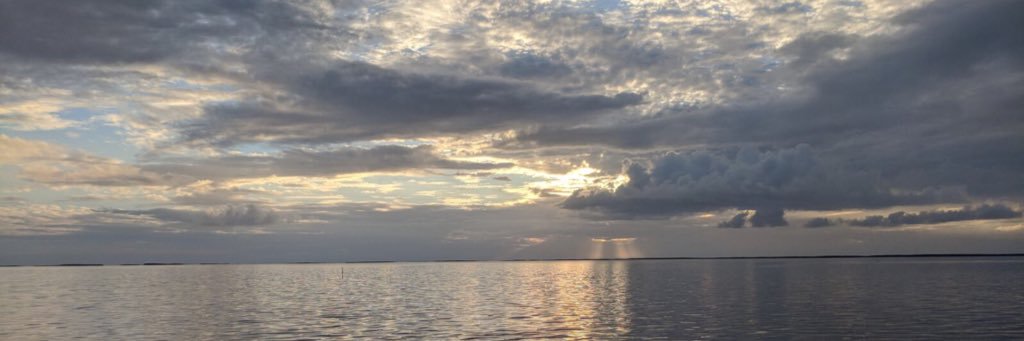 lacymae10's profile banner image