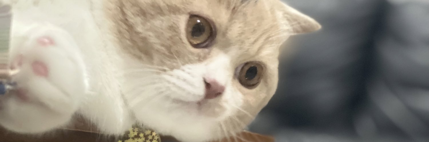 khonsankala's profile banner image