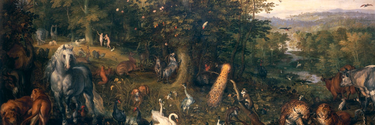 _lior_eth's profile banner image