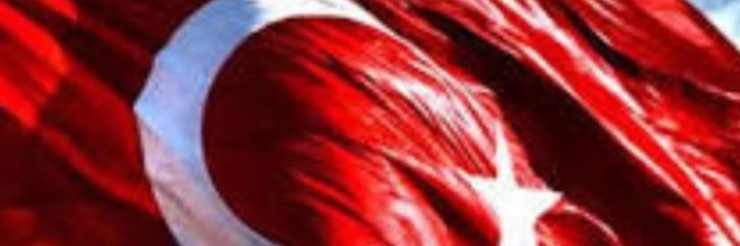 birsessiz's profile banner image