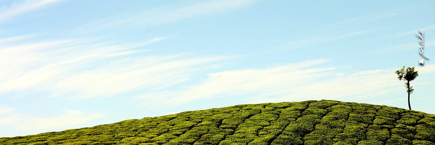 heisme's profile banner image