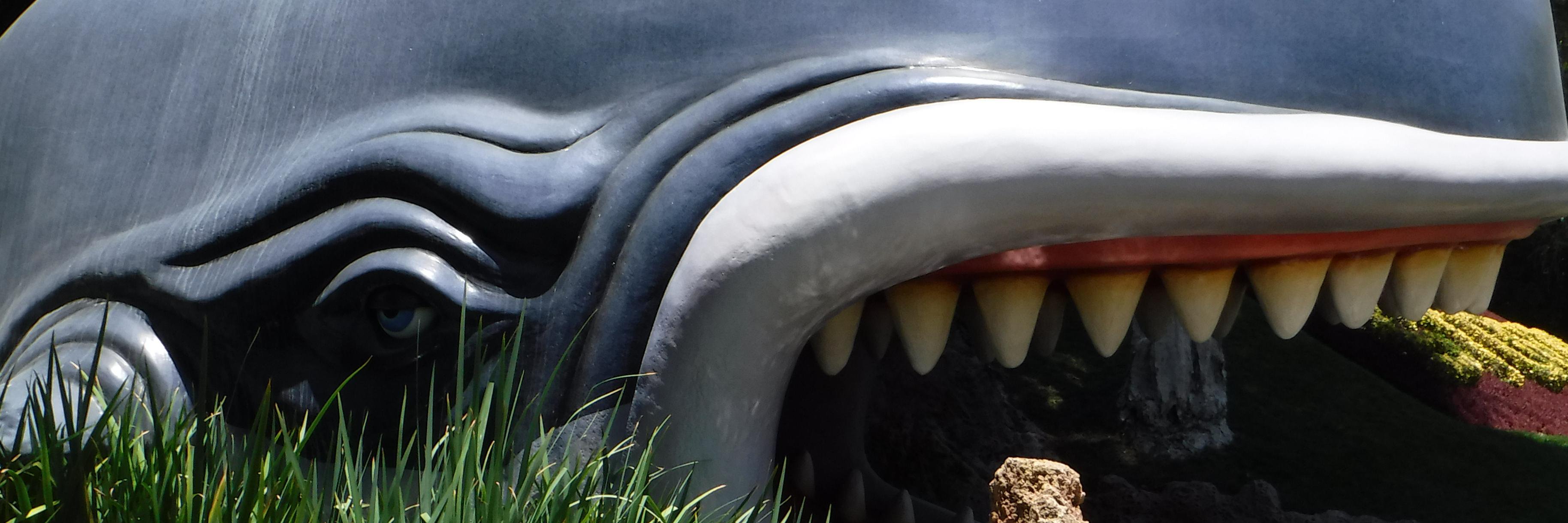 Guppystank's profile banner image