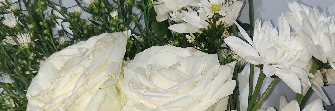✨ banner