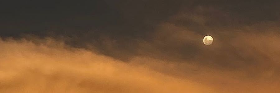 idaanar's profile banner image