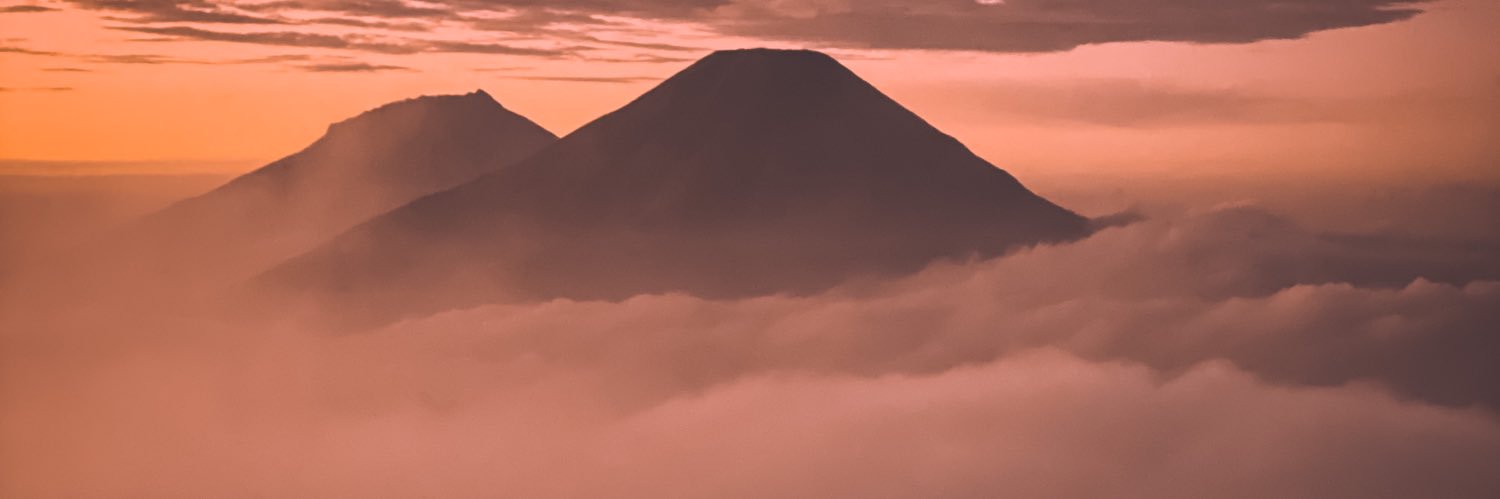 rynaldi_'s profile banner image