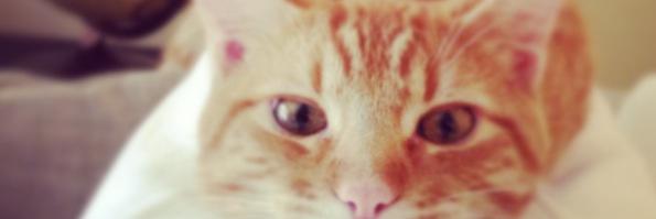 BreWierenga's profile banner image