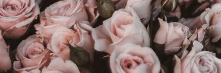 ohohjene's profile banner image