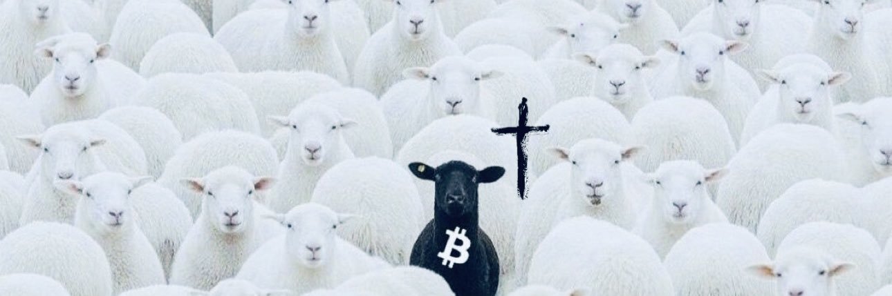 Akillies Tha Great 🐺✝️🪼 banner