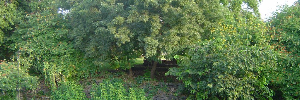 Naveen Prakash banner