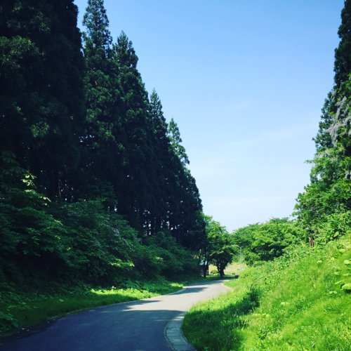 Utimomo's profile banner image