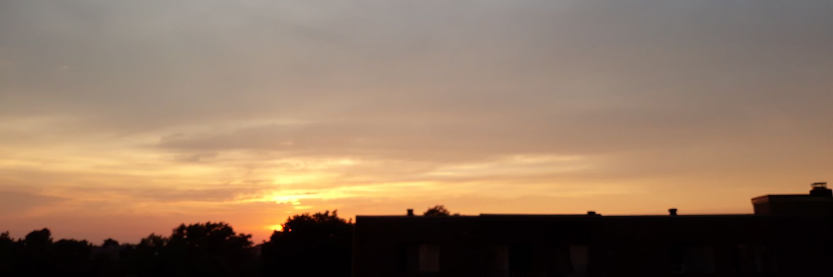 bostonvera's profile banner image