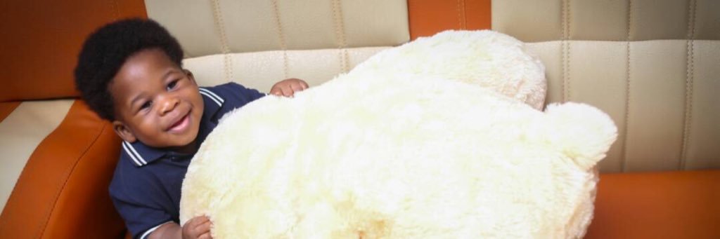 Abole banner
