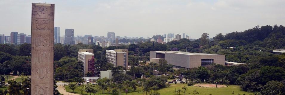 Hamilton Varela banner