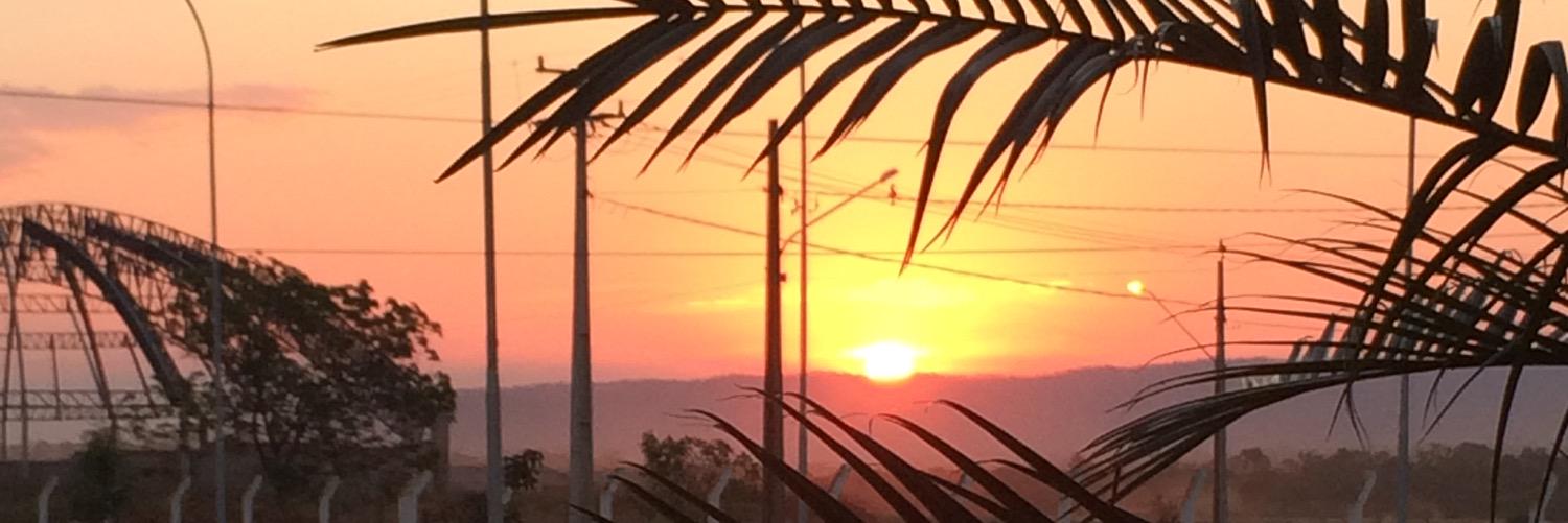 joanaforte's profile banner image