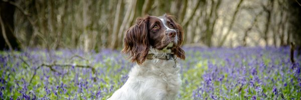 kaykipling28 Profile Banner