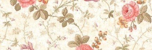 Dɑlilɑti Adlinɑ banner