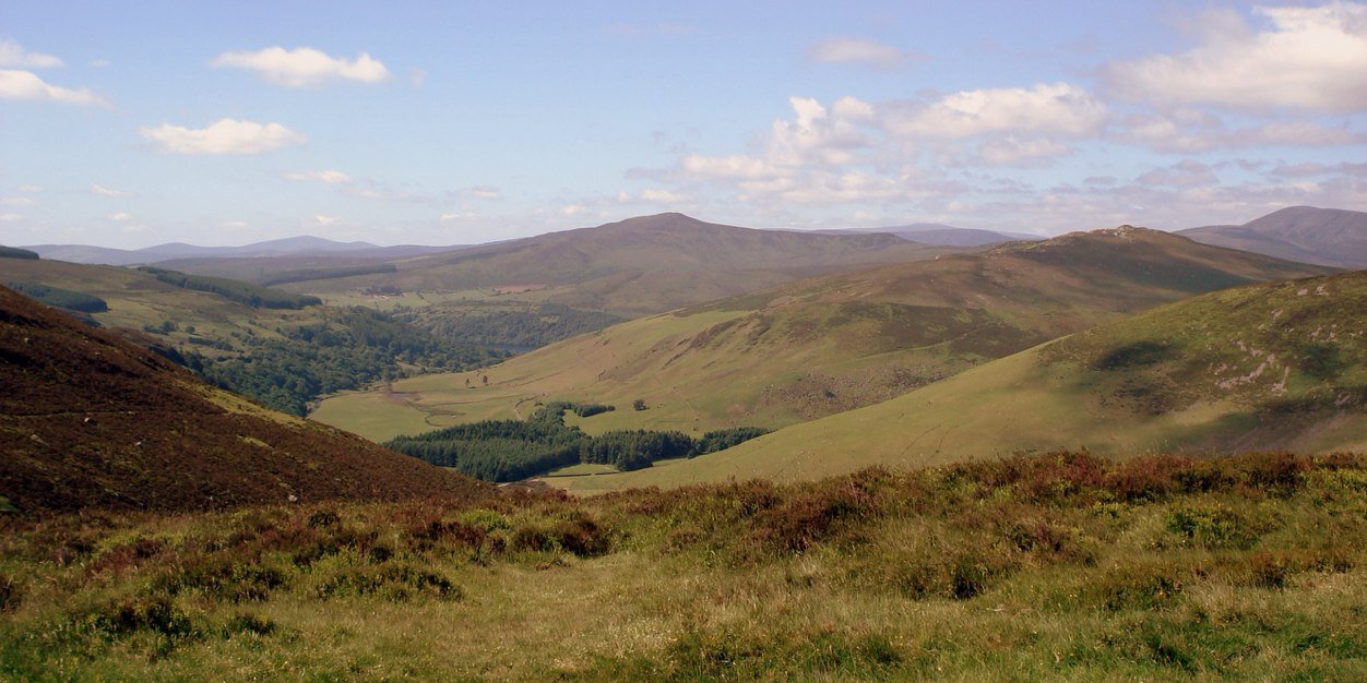 Paul Bolger banner