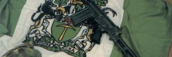 Rhodesiano Vengador 🇳🇬 🇦🇷 banner