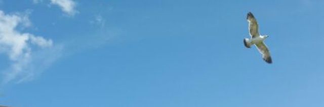 aban1975's profile banner image