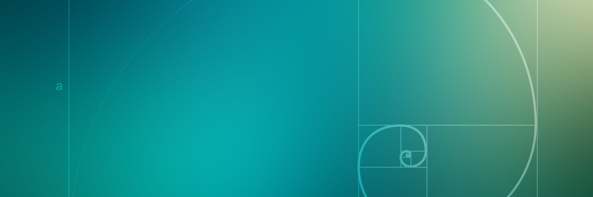 Marco Ziccardi banner